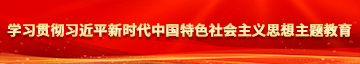 插摸操网站学习贯彻习近平新时代中国特色社会主义思想主题教育